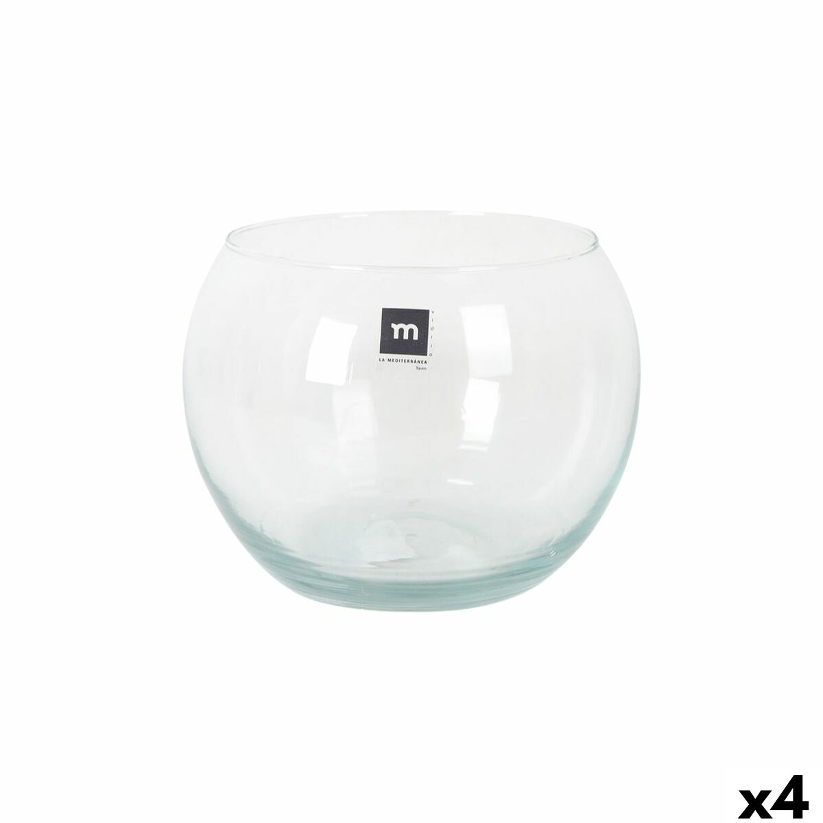 Aquariums et bocaux à poissons