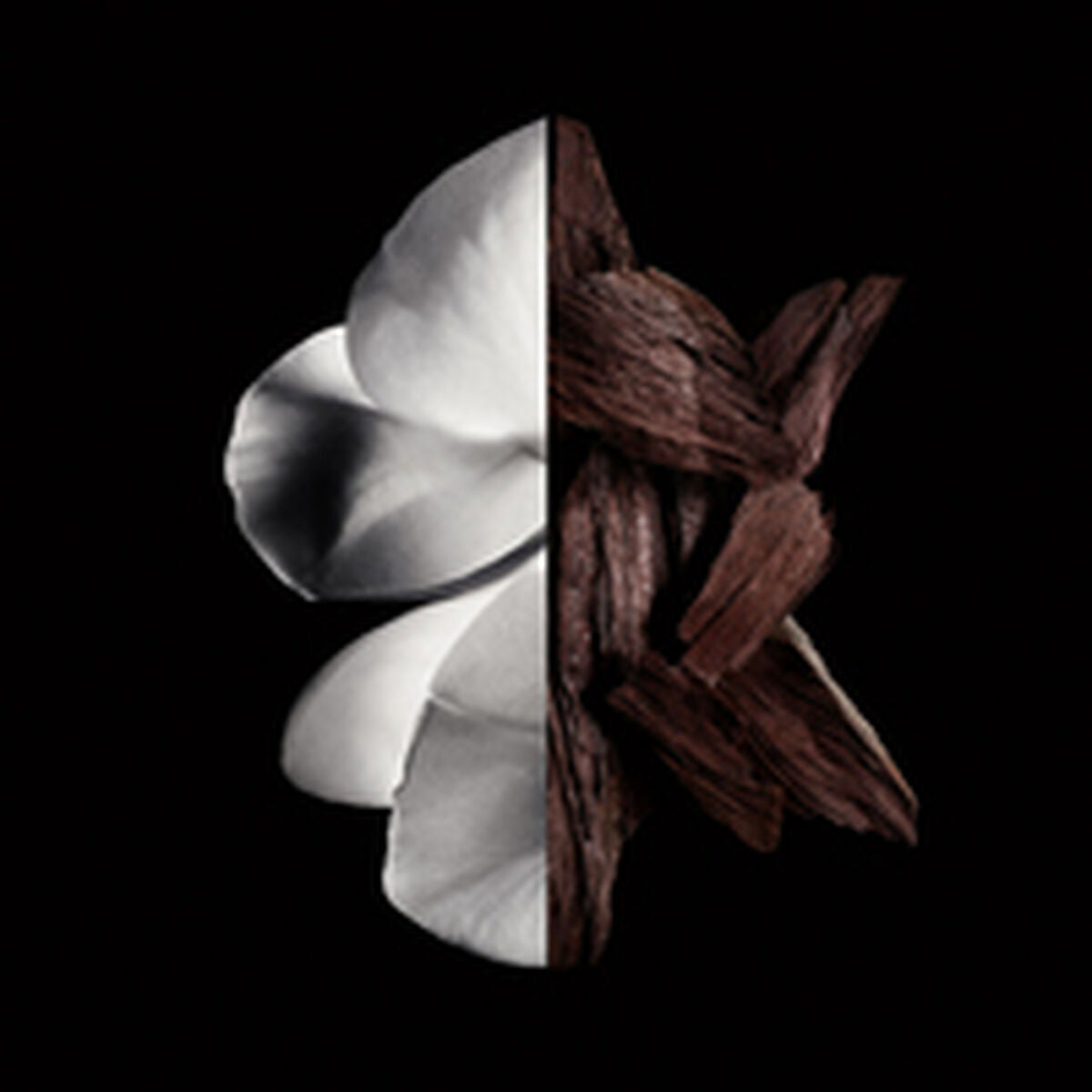 V4H46E471AB8BD8CF775675784443227F89R6237559P3