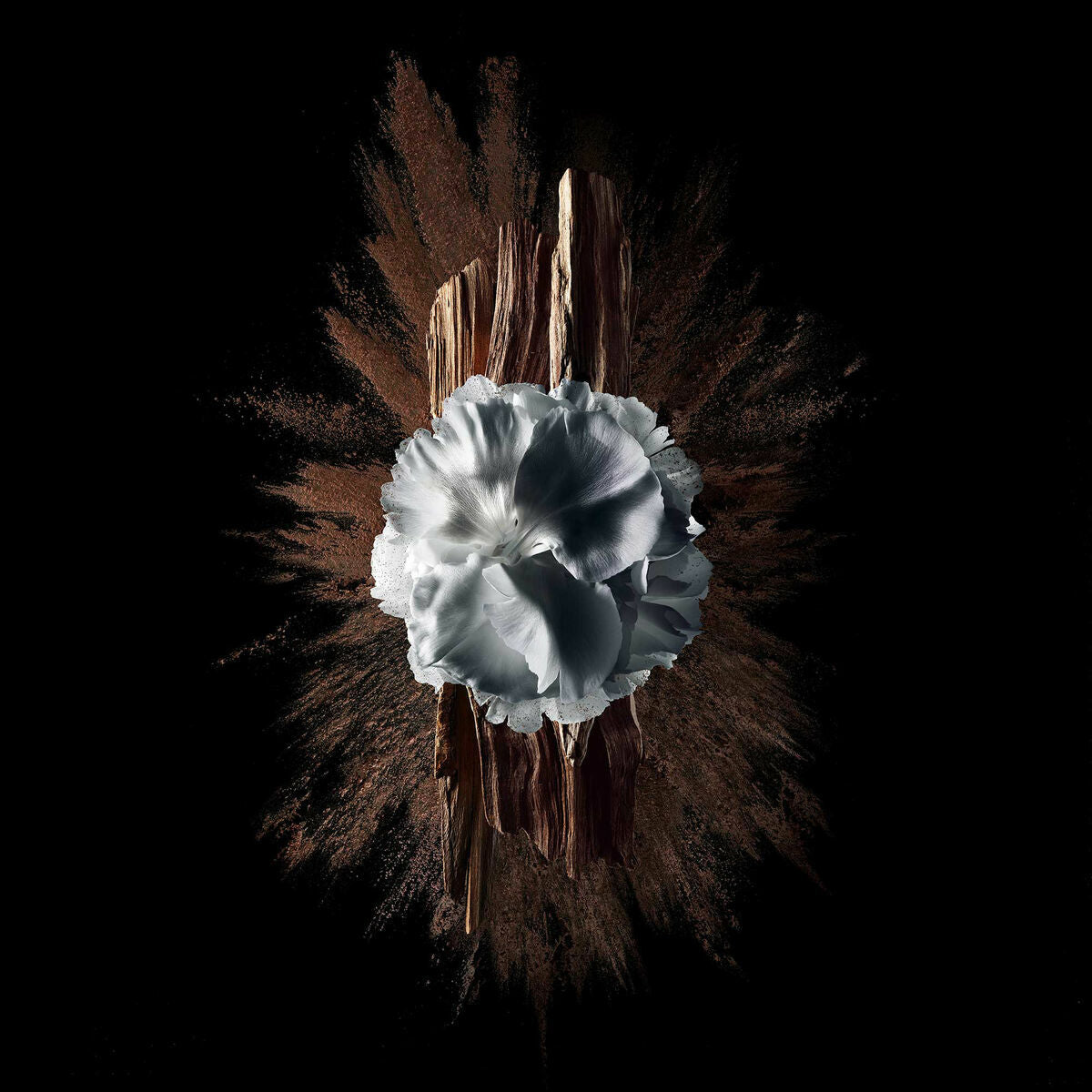 V5HD57BFFBA2AA917DD3D6BAA465CAA4794R5397790P5