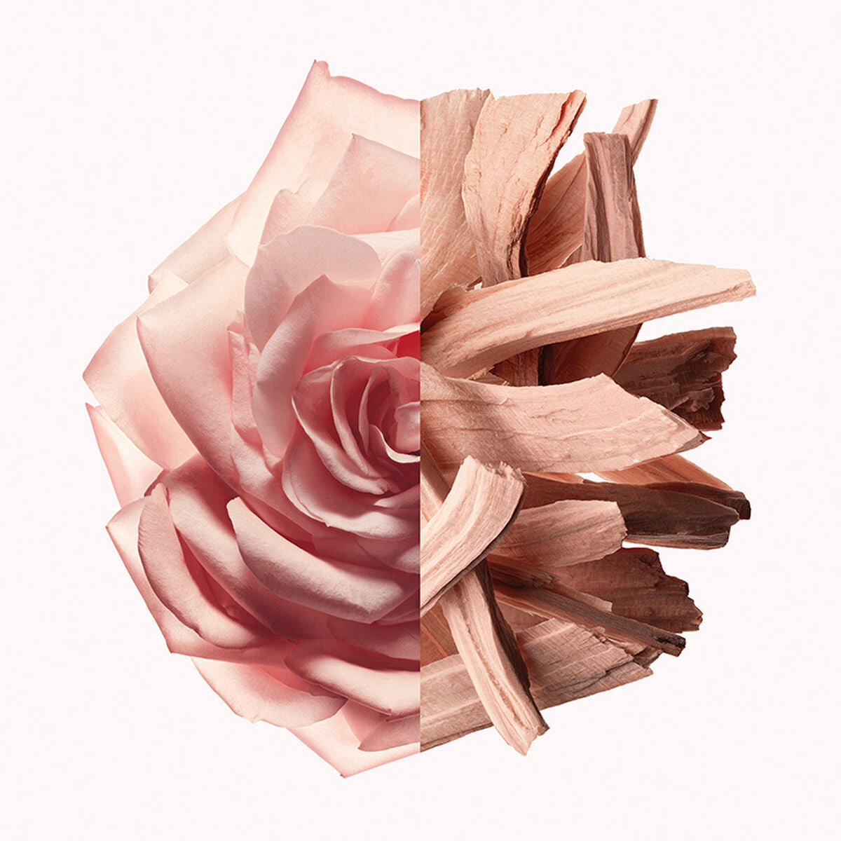 V5H423A9BBCDBA73855D51EB27AF6D251FAR5674696P4