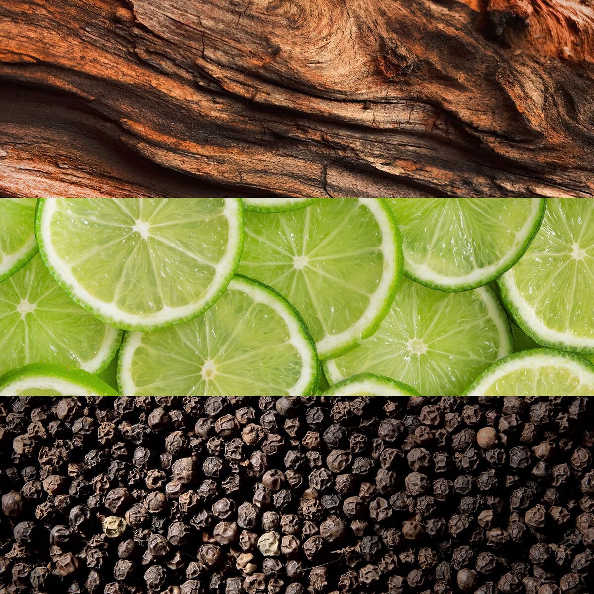 V2H429311A664F7944197FFD2B69654AFD5R7550174P5