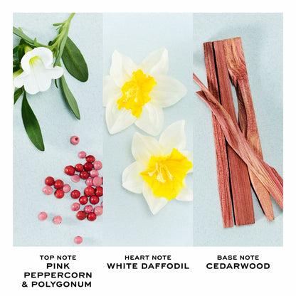 V3HC01E0E28DA16BBAB6ABCE9FF2960174AR7137004P3