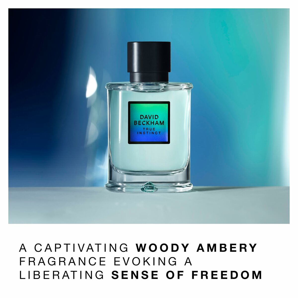 V3H3D0F5D98958DDD152252737B0B157886R7175293P5