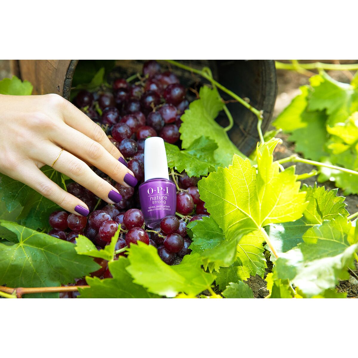 V3H169295B4D9E825DE45FF5BD566999704R7238845P5