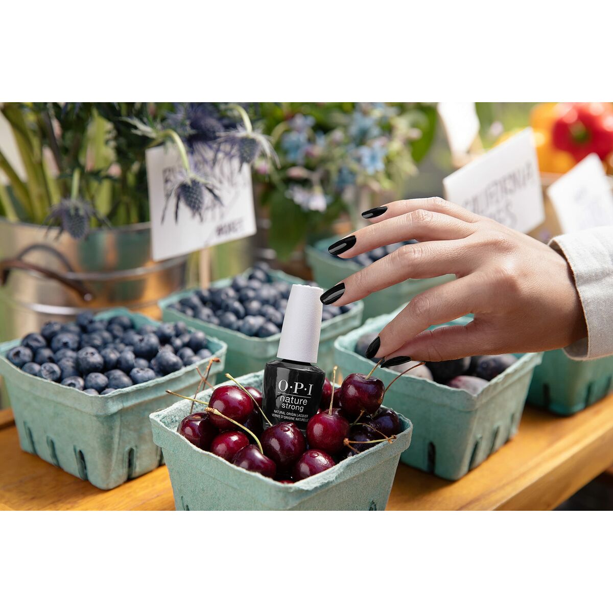 V3H1460A545B077530AAB53A8B7AFC89A53R7239041P5