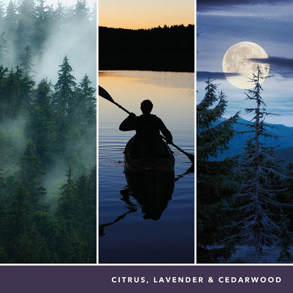 V4HE96DDD22F5BE123E4E1412749729BC9AR5778113P6