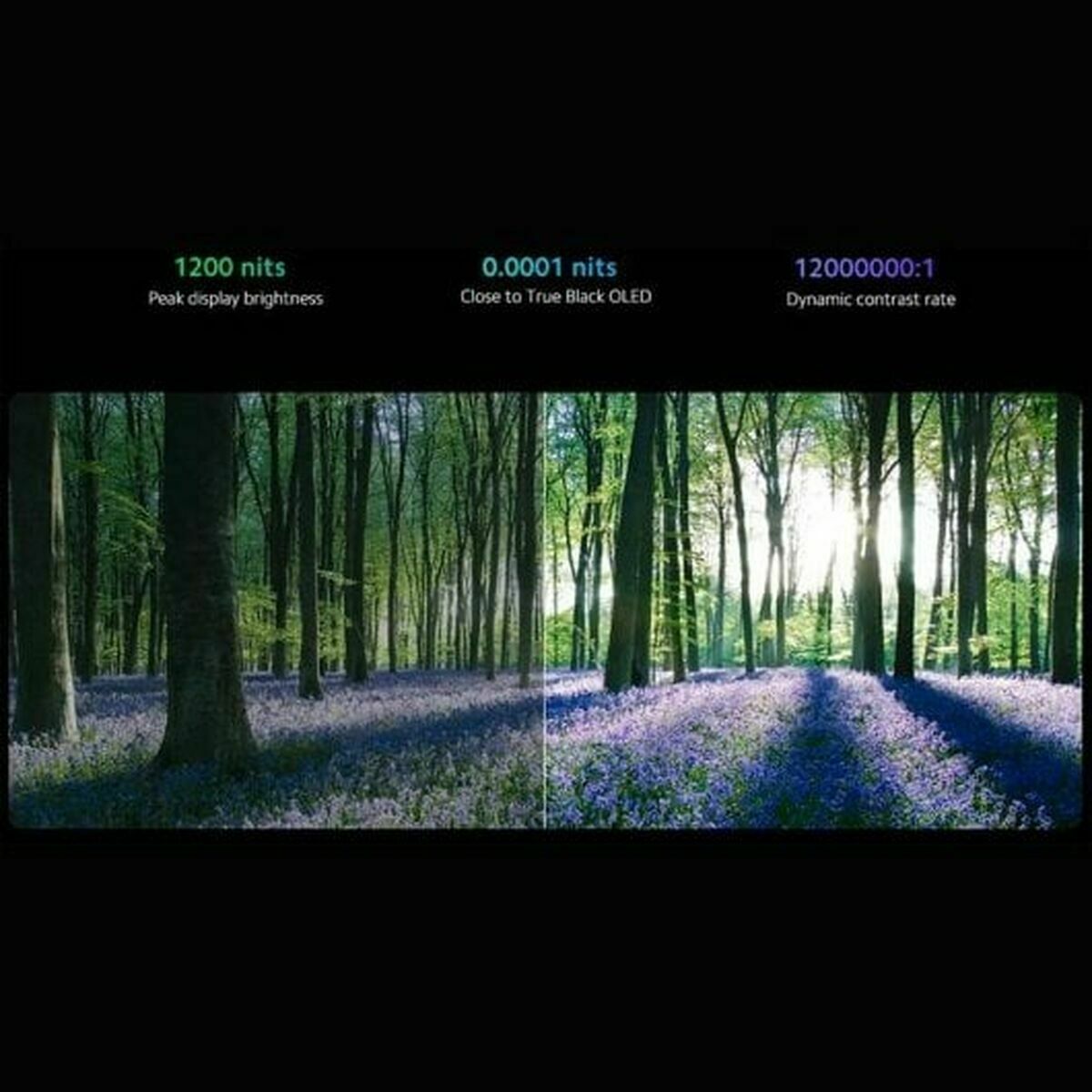 V6H29B11941D57BD0BBC76FDEB5EEDFF25FR6578717P8