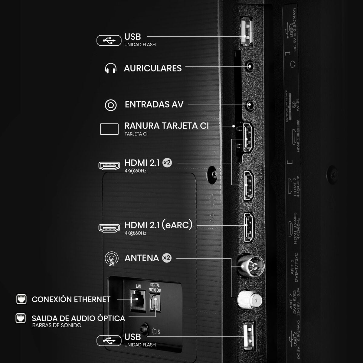 V2H4641112C2219C49126358852C44B75EAR7568355P6