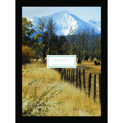 V3HAA91AE32F236F88B155E3F0BD5A60DFFR7423544P2