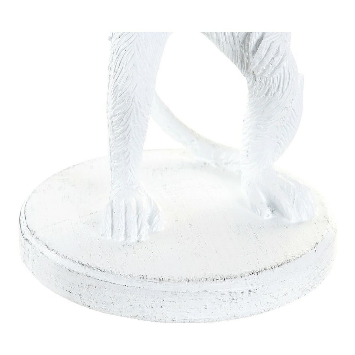 V11H7496753E7F9B88C5536ED50869B839DBR6371086P4