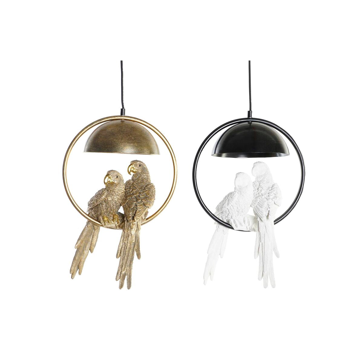 V8H53CF11362034F26D09CA2B9A02A9BDCFR5661375P1