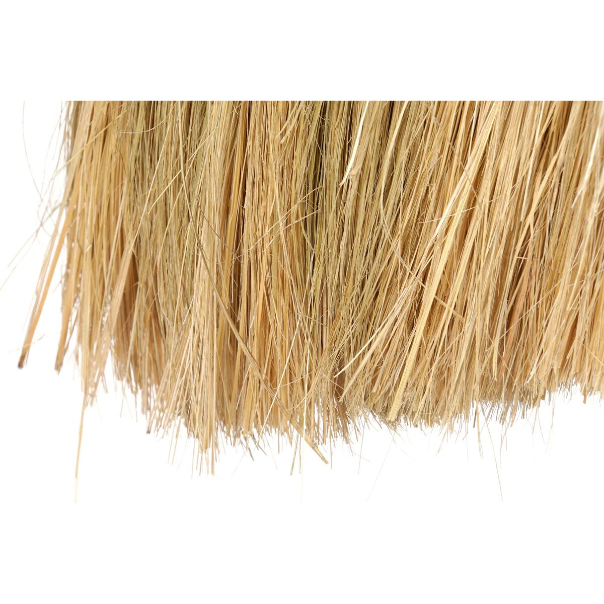 V9HE0D0D820CBDC906DB698804F6158C84DR6378007P5