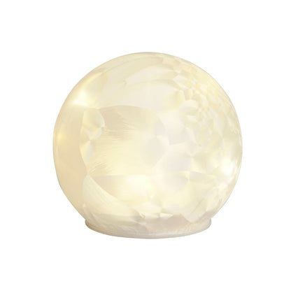 V6H4FB5602FDA7DCBE48FB4358FEC4C5057R7399128P4