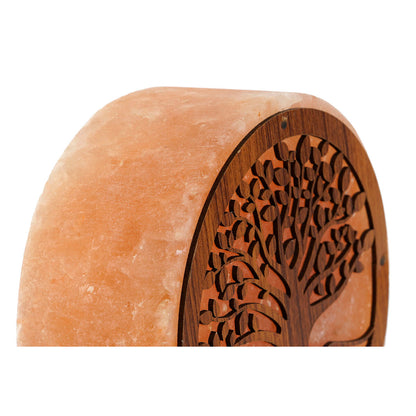 V6HDC4041D917BD9043E2C2E63C8878BA89R6669057P2