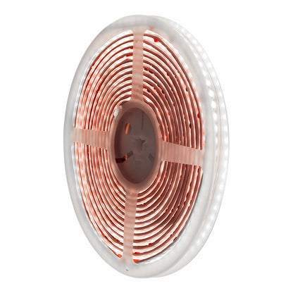 V4H612EED81F3886F2697A008E0B5B756E7R5820442P2