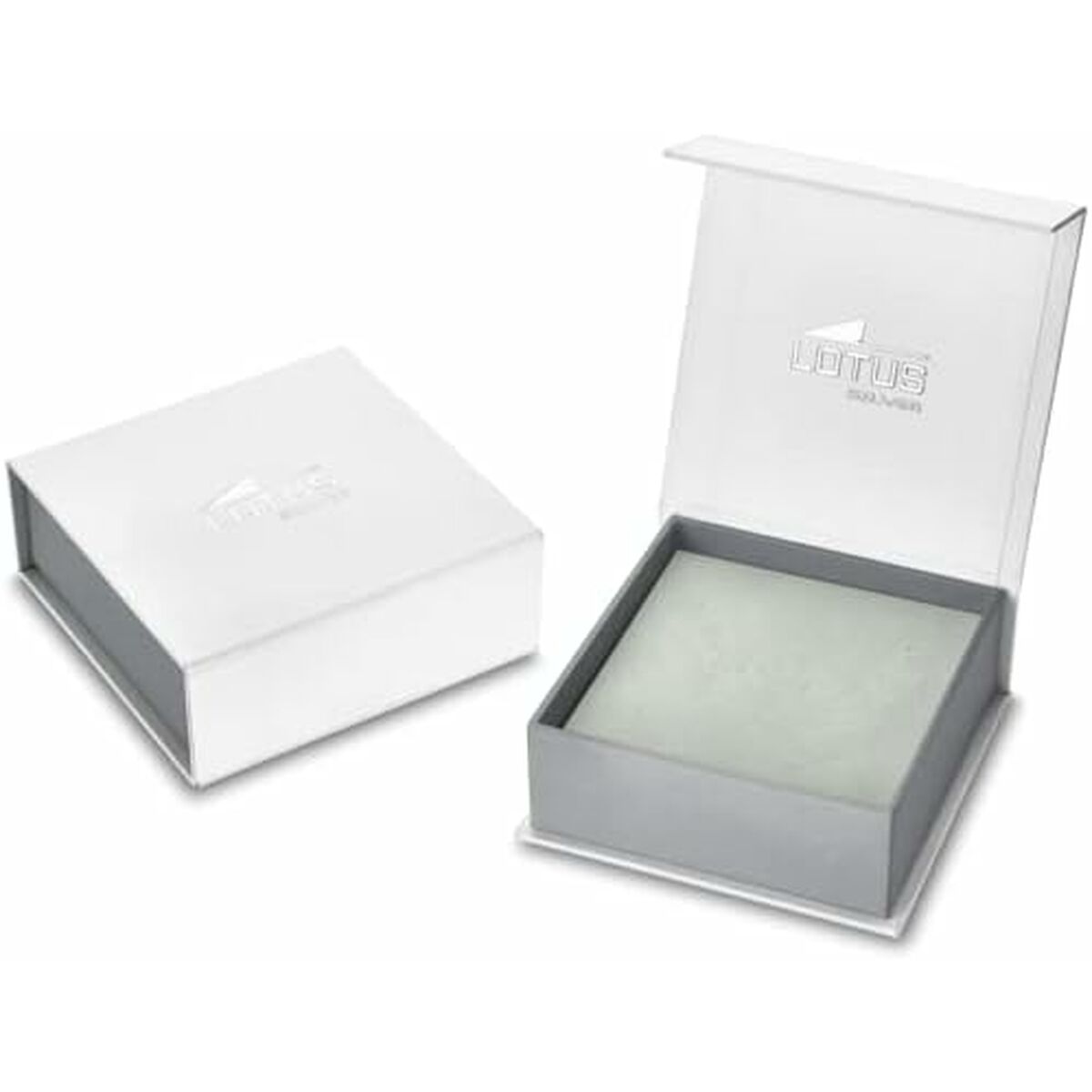 V5HC1B99E64C43D1C619EEBB02F426FC028R4601281P2