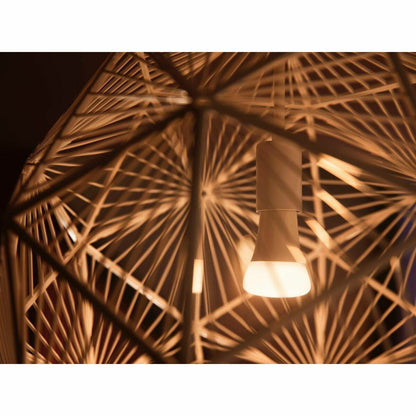 V6H179833058A01FA6F8F5EE8E34C478AA4R3622664P8