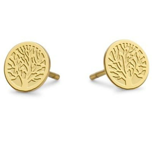 V4HFF6763A999EB66ADB3F01EB0944F402BR5752091P1