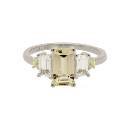 V4HDF6DBFD03E87089C2F7C77EFB5AD42C9R6186361P1