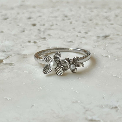 V4H439FBB9E6323FF5931B411CA562453EFR6186132P4